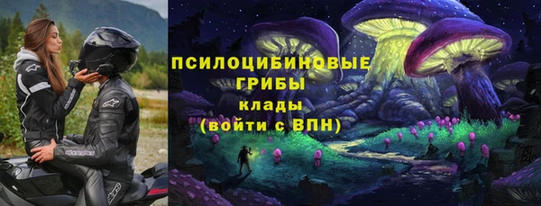 spice Алексин