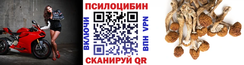 Псилоцибиновые грибы GOLDEN TEACHER Сафоново