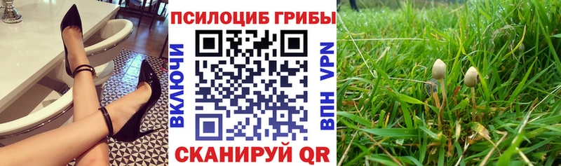 дарнет шоп Сафоново Псилоцибиновые грибы ЛСД